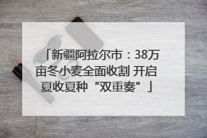 新疆阿拉尔市：38万亩冬小麦全面收割 开启夏收夏种“双重奏”
