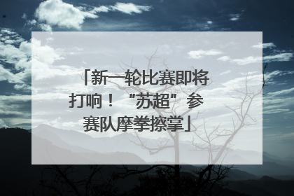新一轮比赛即将打响！“苏超”参赛队摩拳擦掌