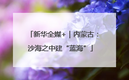 新华全媒+｜内蒙古：沙海之中建“蓝海”