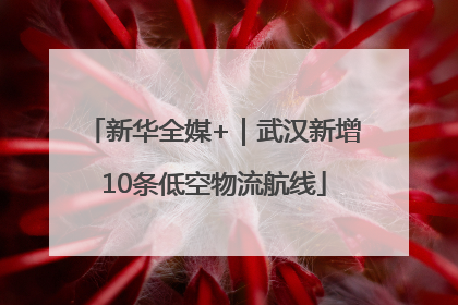 新华全媒+｜武汉新增10条低空物流航线