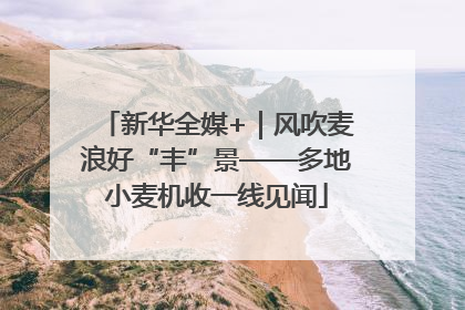 新华全媒+｜风吹麦浪好“丰”景——多地小麦机收一线见闻