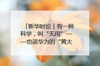 新华时论｜有一种科学，叫“无用”——也谈华为的“黄大年茶思屋”