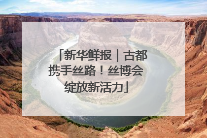 新华鲜报｜古都携手丝路！丝博会绽放新活力