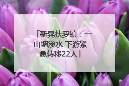 新晃扶罗镇：一山塘渗水 下游紧急转移22人