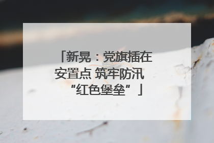 新晃：党旗插在安置点 筑牢防汛“红色堡垒”