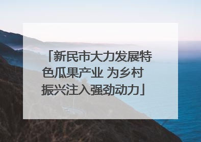 新民市大力发展特色瓜果产业 为乡村振兴注入强劲动力