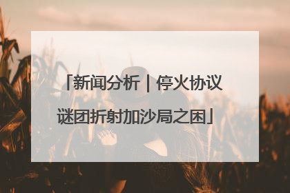 新闻分析｜停火协议谜团折射加沙局之困