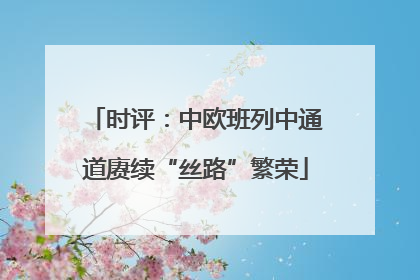 时评：中欧班列中通道赓续“丝路”繁荣