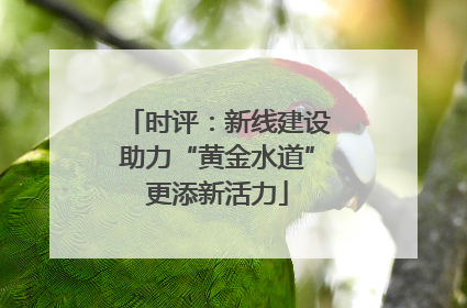 时评：新线建设助力“黄金水道”更添新活力
