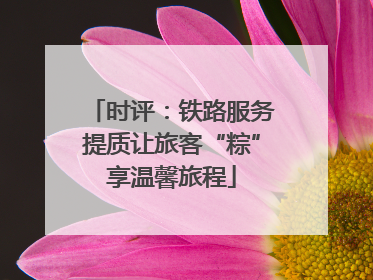 时评：铁路服务提质让旅客“粽”享温馨旅程
