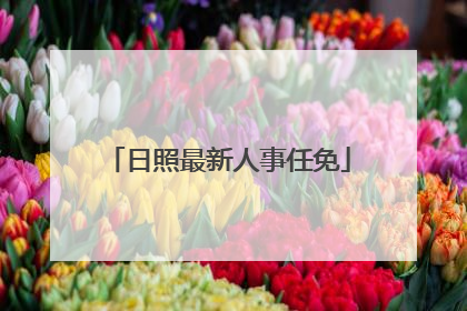 日照最新人事任免