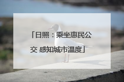 日照：乘坐惠民公交 感知城市温度