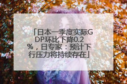 日本一季度实际GDP环比下降0.2%，日专家：预计下行压力将持续存在