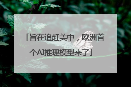旨在追赶美中，欧洲首个AI推理模型来了