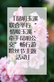 昆明玉溪联合举行“情暖玉溪・牵手昆明公交”畅行游粉丝节主题活动
