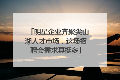 明星企业齐聚尖山湖人才市场，这场招聘会需求真挺多
