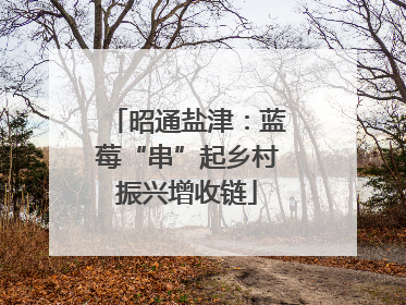 昭通盐津：蓝莓“串”起乡村振兴增收链