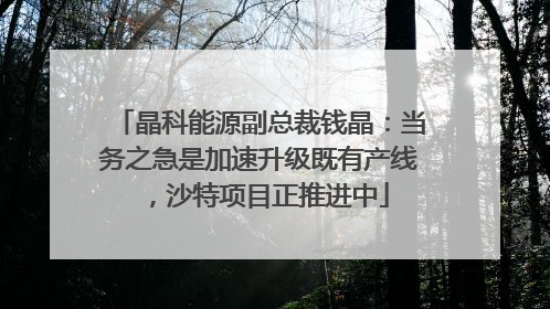 晶科能源副总裁钱晶：当务之急是加速升级既有产线，沙特项目正推进中