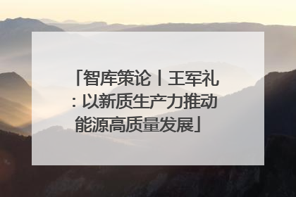 智库策论丨王军礼：以新质生产力推动能源高质量发展