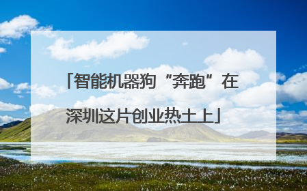 智能机器狗“奔跑”在深圳这片创业热土上