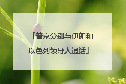 普京分别与伊朗和以色列领导人通话