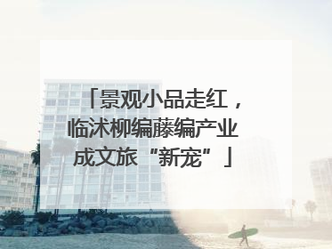 景观小品走红，临沭柳编藤编产业成文旅“新宠”