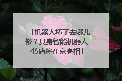 机器人坏了去哪儿修？具身智能机器人4S店将在京亮相