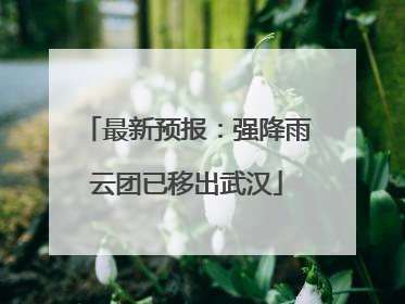最新预报：强降雨云团已移出武汉