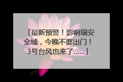 最新预警！影响瑞安全域，今晚不要出门！3号台风也来了……