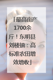 最高亩产1700余斤！东明县刘楼镇：高标准农田增效增收