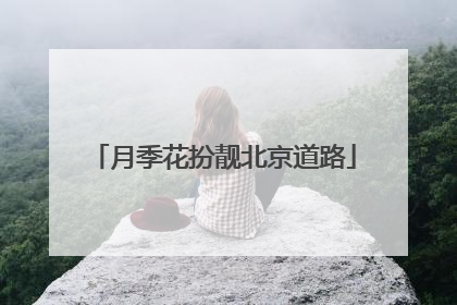 月季花扮靓北京道路