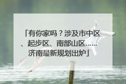 有你家吗？涉及市中区、起步区、南部山区……济南最新规划出炉