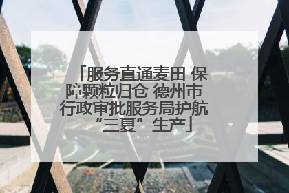 服务直通麦田 保障颗粒归仓 德州市行政审批服务局护航“三夏”生产