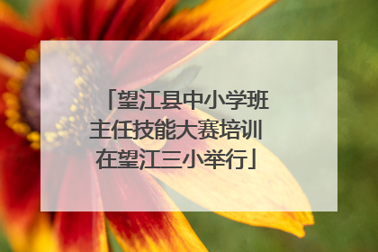 望江县中小学班主任技能大赛培训在望江三小举行