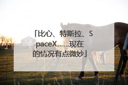 比心、特斯拉、SpaceX……现在的情况有点微妙