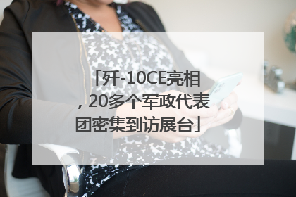 歼-10CE亮相，20多个军政代表团密集到访展台
