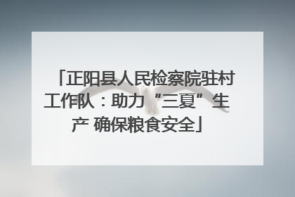 正阳县人民检察院驻村工作队：助力“三夏”生产 确保粮食安全