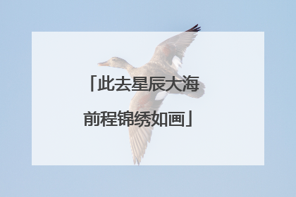 此去星辰大海 前程锦绣如画