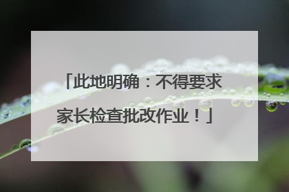 此地明确：不得要求家长检查批改作业！