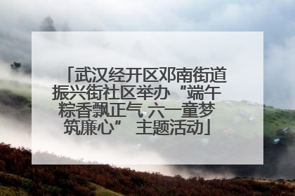武汉经开区邓南街道振兴街社区举办“端午粽香飘正气 六一童梦筑廉心” 主题活动