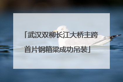 武汉双柳长江大桥主跨首片钢箱梁成功吊装