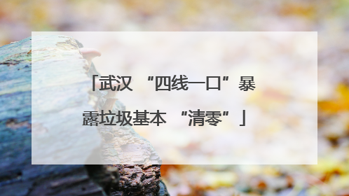 武汉 “四线一口”暴露垃圾基本 “清零”