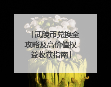 武陵币兑换全攻略及高价值权益收获指南