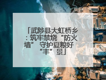 武陟县大虹桥乡：筑牢禁烧“防火墙” 守护夏粮好“丰”景