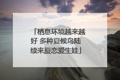 栖息环境越来越好 多种夏候鸟陆续来厦恋爱生娃