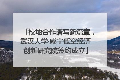 校地合作谱写新篇章，武汉大学·咸宁低空经济创新研究院签约成立