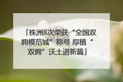 株洲8次荣获“全国双拥模范城”称号 厚植“双拥”沃土谱新篇