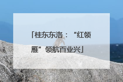 桂东东洛：“红领雁”领航百业兴