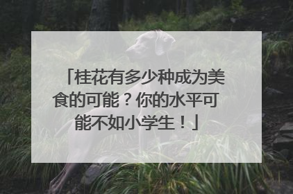 桂花有多少种成为美食的可能？你的水平可能不如小学生！