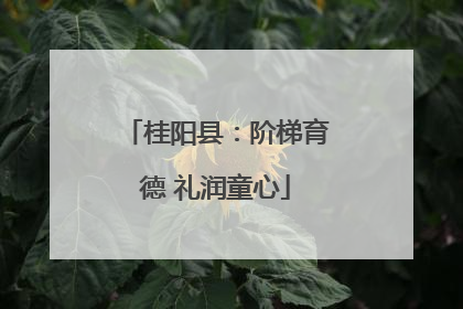 桂阳县：阶梯育德 礼润童心